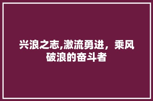 兴浪之志,激流勇进，乘风破浪的奋斗者