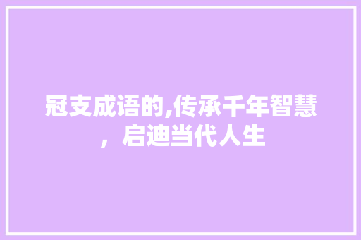 冠支成语的,传承千年智慧，启迪当代人生