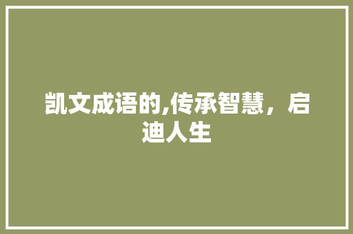 凯文成语的,传承智慧，启迪人生
