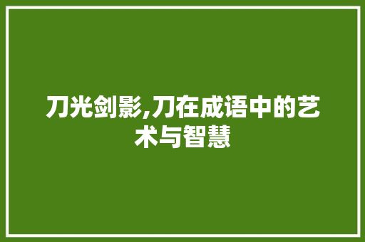刀光剑影,刀在成语中的艺术与智慧