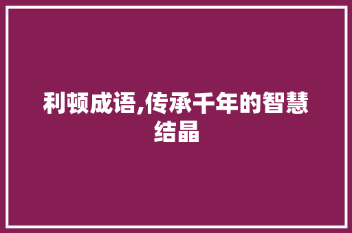 利顿成语,传承千年的智慧结晶