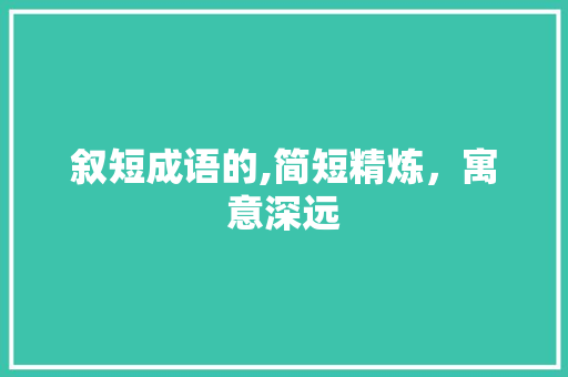 叙短成语的,简短精炼，寓意深远