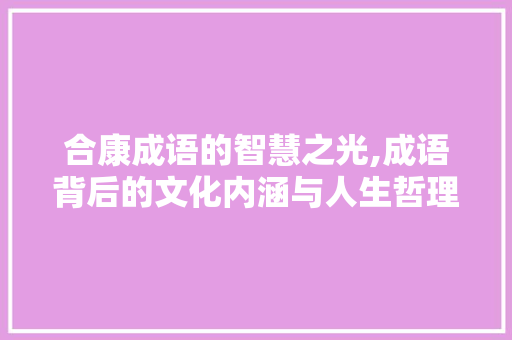 合康成语的智慧之光,成语背后的文化内涵与人生哲理