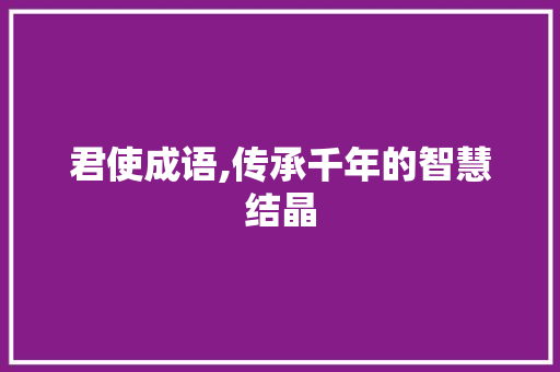 君使成语,传承千年的智慧结晶