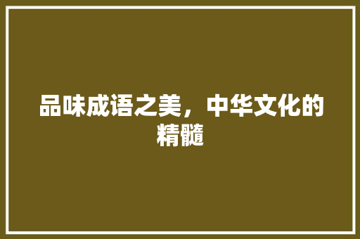 品味成语之美，中华文化的精髓