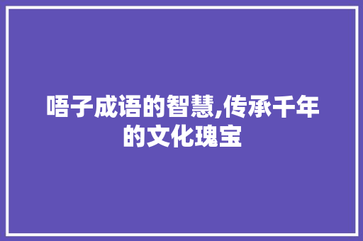 唔子成语的智慧,传承千年的文化瑰宝