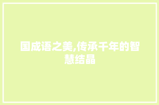 国成语之美,传承千年的智慧结晶