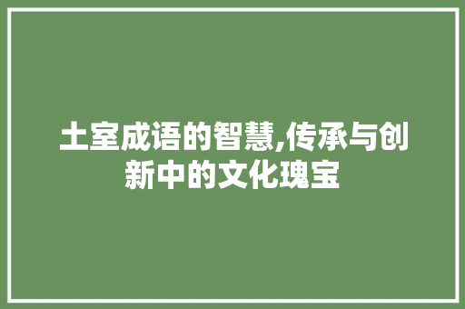 土室成语的智慧,传承与创新中的文化瑰宝
