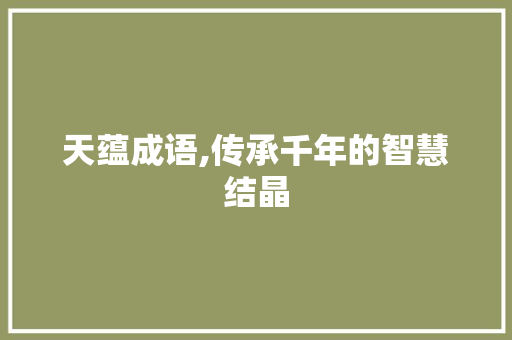 天蕴成语,传承千年的智慧结晶