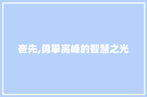 奋先,勇攀高峰的智慧之光