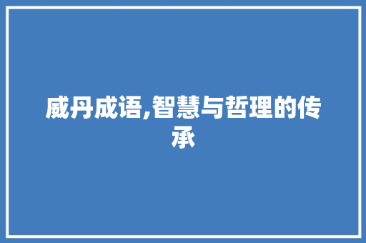 威丹成语,智慧与哲理的传承