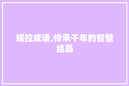 媒拉成语,传承千年的智慧结晶