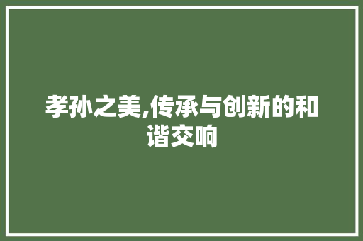 孝孙之美,传承与创新的和谐交响