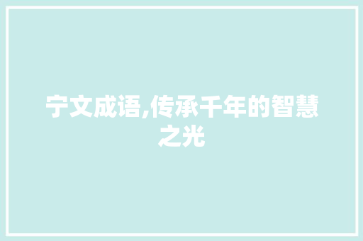 宁文成语,传承千年的智慧之光
