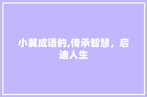 小翼成语的,传承智慧，启迪人生
