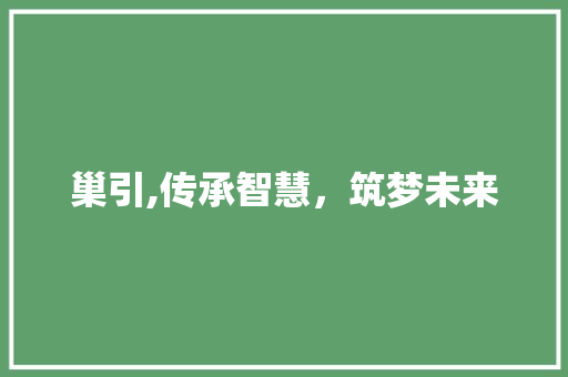 巢引,传承智慧，筑梦未来