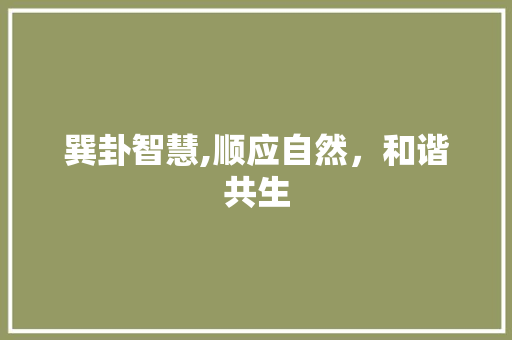 巽卦智慧,顺应自然，和谐共生