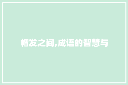 帽发之间,成语的智慧与