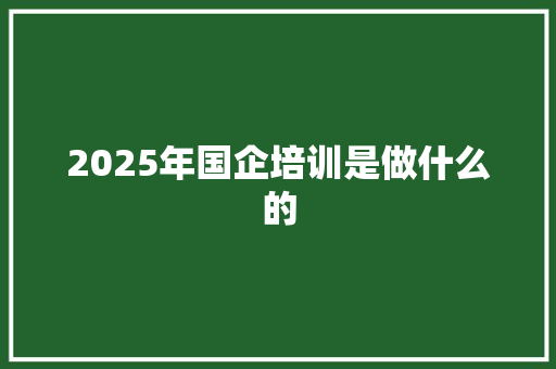 2025年国企培训是做什么的