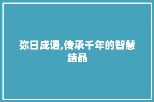 弥日成语,传承千年的智慧结晶