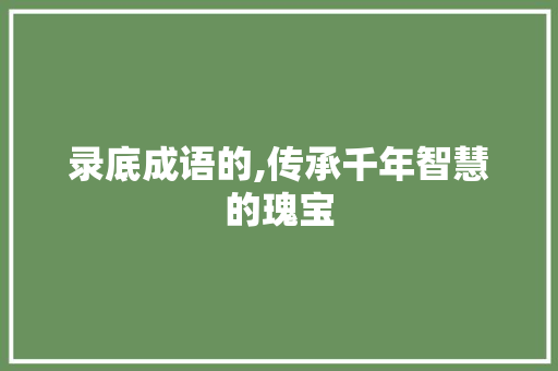 录底成语的,传承千年智慧的瑰宝