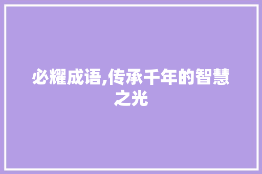 必耀成语,传承千年的智慧之光