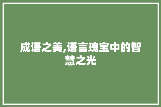 成语之美,语言瑰宝中的智慧之光