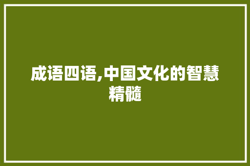 成语四语,中国文化的智慧精髓