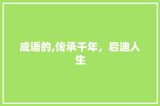 成语的,传承千年，启迪人生