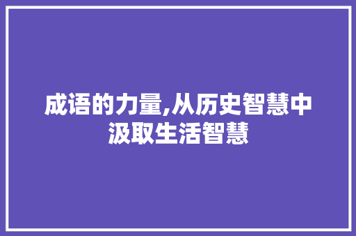 成语的力量,从历史智慧中汲取生活智慧