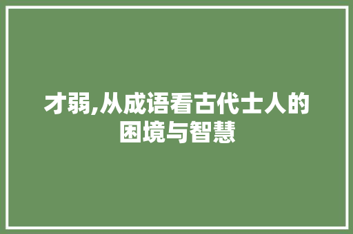 才弱,从成语看古代士人的困境与智慧