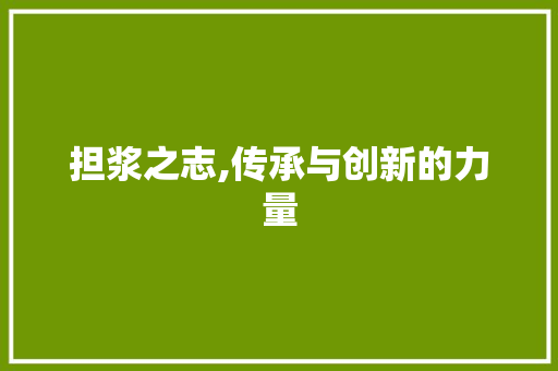 担浆之志,传承与创新的力量