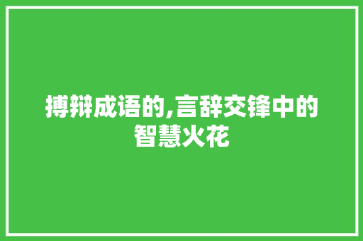 搏辩成语的,言辞交锋中的智慧火花