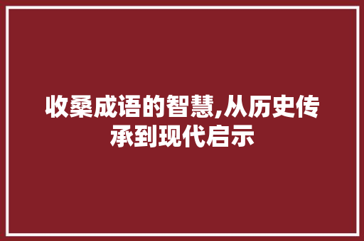 收桑成语的智慧,从历史传承到现代启示