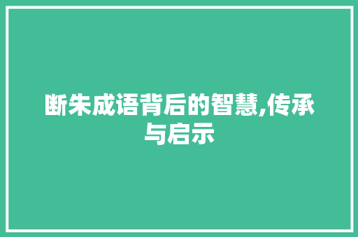 断朱成语背后的智慧,传承与启示