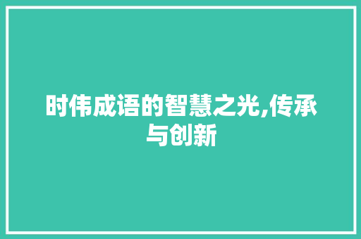 时伟成语的智慧之光,传承与创新 优秀范文