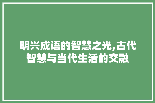 明兴成语的智慧之光,古代智慧与当代生活的交融