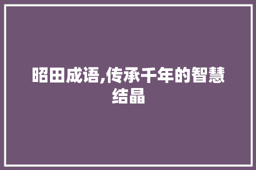 昭田成语,传承千年的智慧结晶