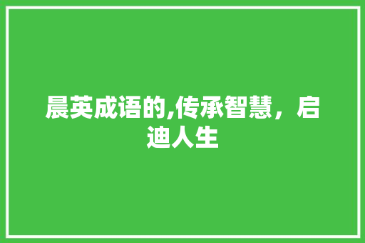 晨英成语的,传承智慧，启迪人生
