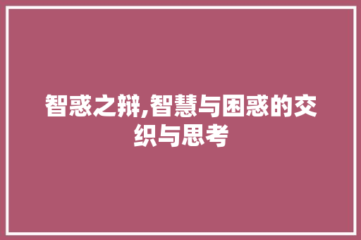 智惑之辩,智慧与困惑的交织与思考