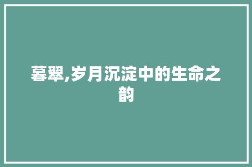 暮翠,岁月沉淀中的生命之韵