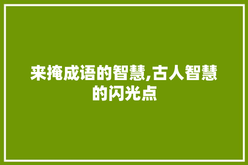 来掩成语的智慧,古人智慧的闪光点
