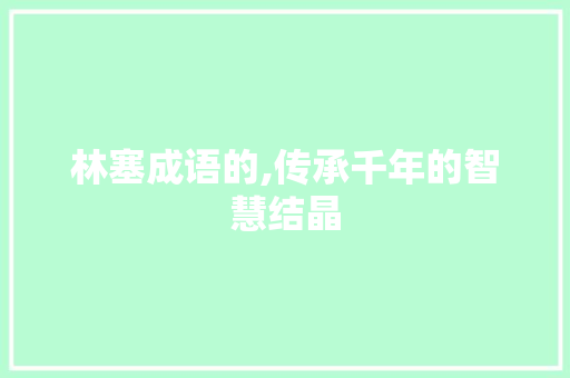 林塞成语的,传承千年的智慧结晶