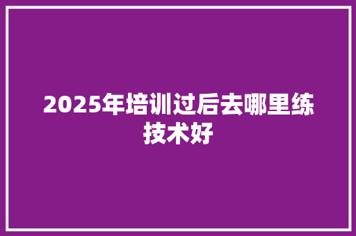 2025年培训过后去哪里练技术好