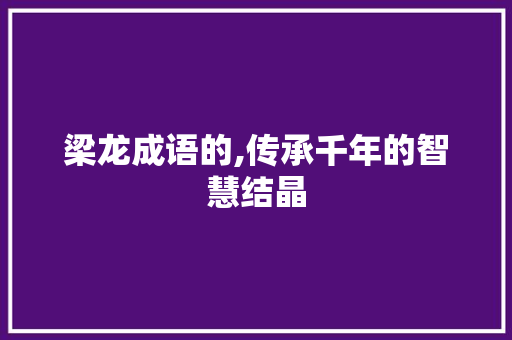 梁龙成语的,传承千年的智慧结晶