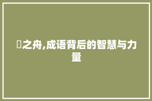 櫂之舟,成语背后的智慧与力量