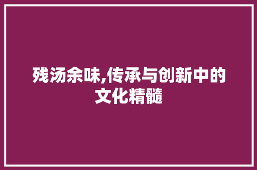 残汤余味,传承与创新中的文化精髓