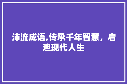 沛流成语,传承千年智慧，启迪现代人生