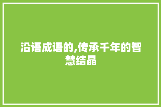 沿语成语的,传承千年的智慧结晶
