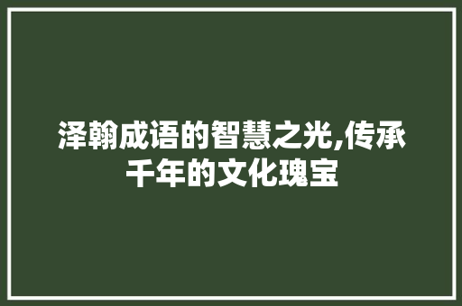 泽翰成语的智慧之光,传承千年的文化瑰宝